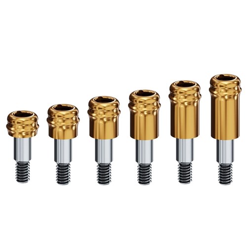 Locator Abutment Bredent Sky