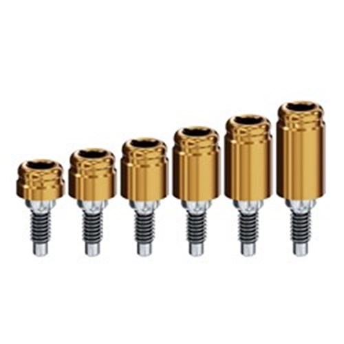 Locator Abutment BTI Internal Hex