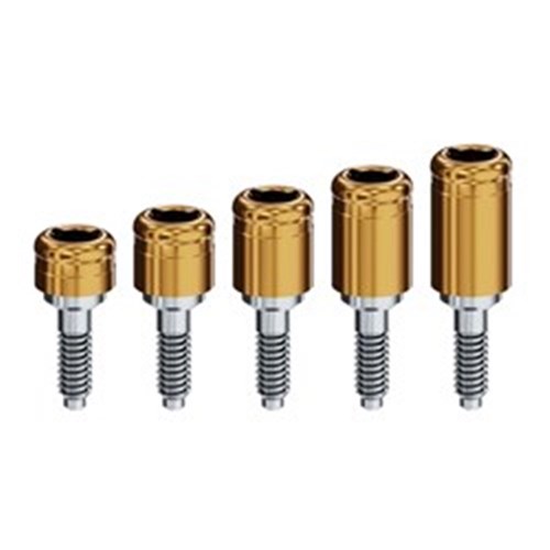 Locator Abutment Dentsply Frialit-2/XIVE