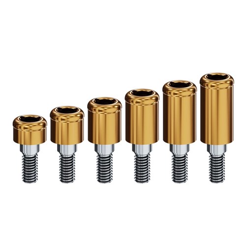 Locator Abutment ImplantDirect Swissplant Ext Hex