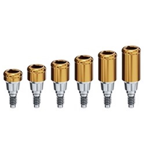 Locator Abutment MIS C1 Internal Hex