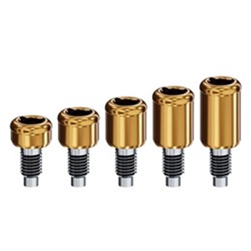 Locator Abutment NBL Hex-Lok External Hex
