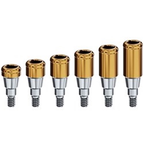 Locator Abutment Neodent Grand Morse