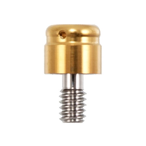 Locator Abutment Paltop