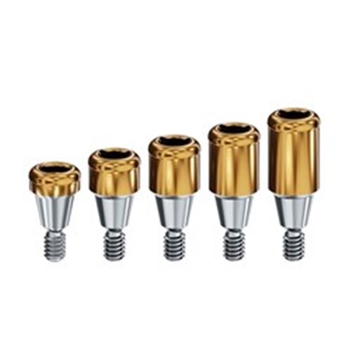 Locator Abutment Southern DC External Hex