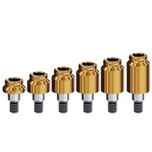 Locator Abutment Southern Internal Hex