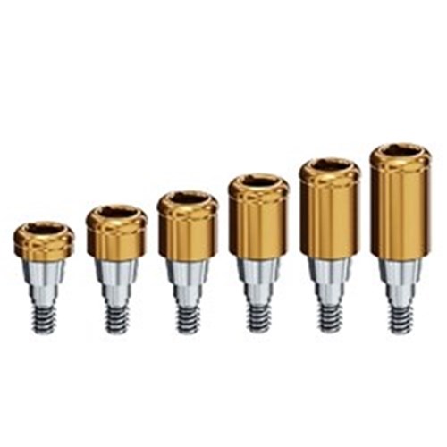 Locator Abutments Straumann BLX
