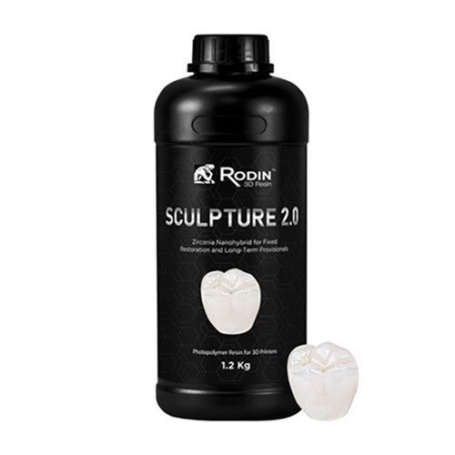 Rodin Sculpture 2.0 Shade A1 600g