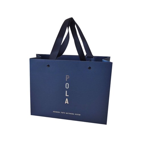 POLA Small Carry Bag