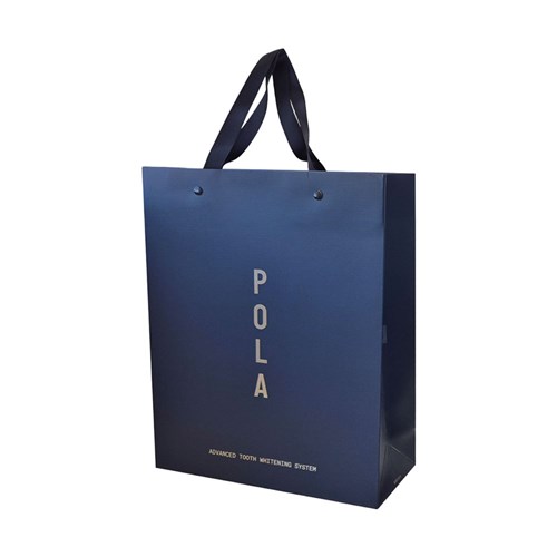 POLA Large Carry Bag