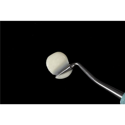 Forma BL1 Bleach Refill #4201 1 x 4gm Syringe Refill