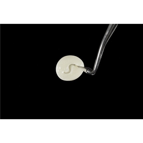 Forma BL1 Bleach Refill #4201 1 x 4gm Syringe Refill