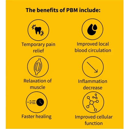 Gemini PBM Adaptor Each