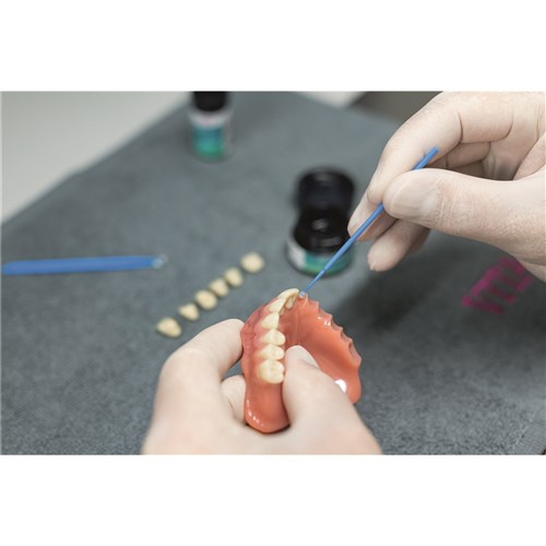 VITA VIONIC VIGO Anterior A2 T46