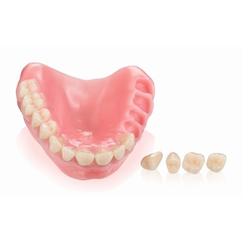 VITA VIONIC VIGO Posterior A3.5 24L UK