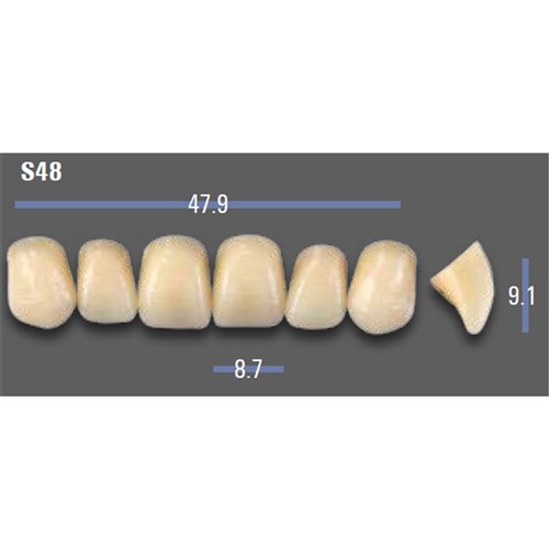 VITAPAN EXCELL 3D Upper Anterior Shade 1M1 Mould S48