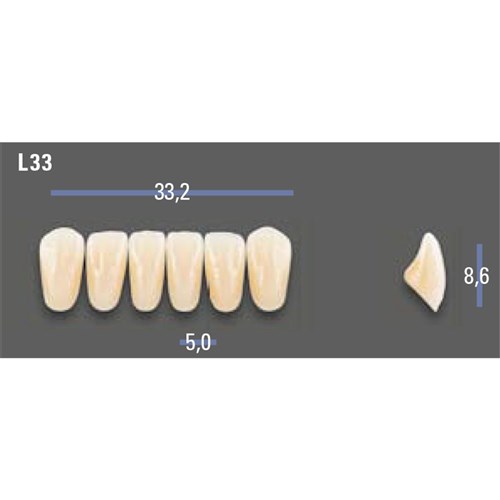 VITAPAN EXCELL Classical Lower Anterior Shade A1 Mould L33