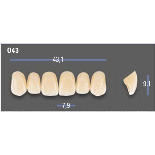 VITAPAN EXCELL Classical Upper Anterior Shade A1 Mould O43