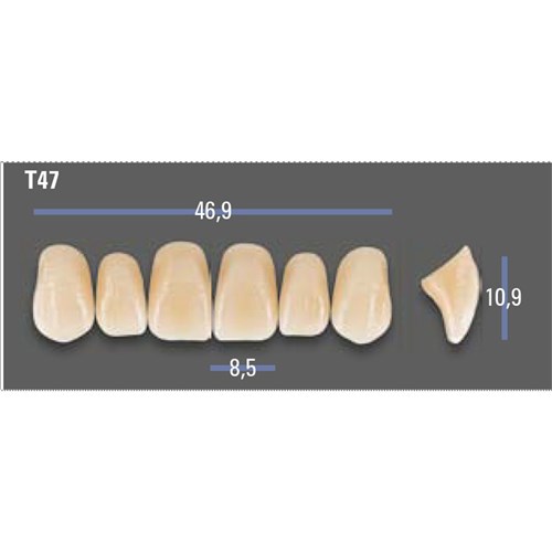 VITAPAN EXCELL Classical Upper Anterior Shade A1 Mould T47