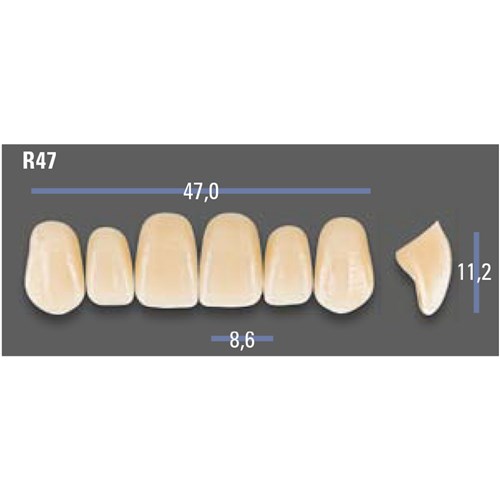 VITAPAN EXCELL Classical Upper Anterior Shade A2 Mould R47