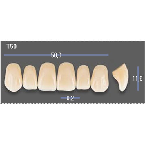 VITAPAN EXCELL Classical Upper Anterior Shade A2 Mould T50