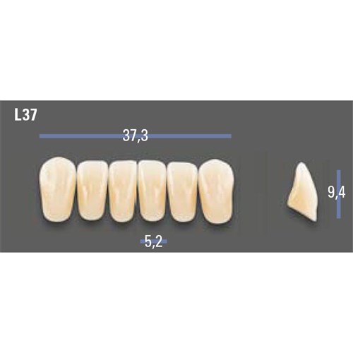 VITAPAN EXCELL Classical Lower Anterior Shade A35 Mould L37