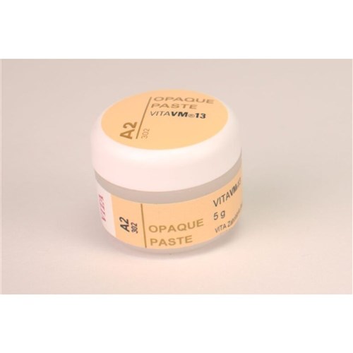VM13 Paste Opaque A2, 5g