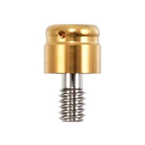 Locator Abut 5.0 Endopore 4mm