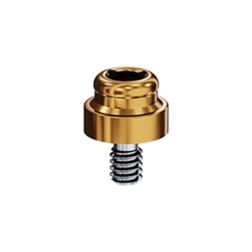 Locator Abut 5.0 3i hex 2mm