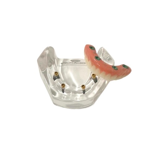 LOCATOR Removable & Fixed Education Suite 4 Models