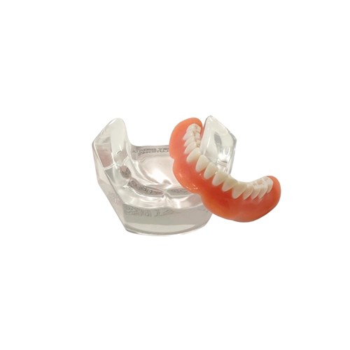 LOCATOR Removable Patient Education Suite 2 Models