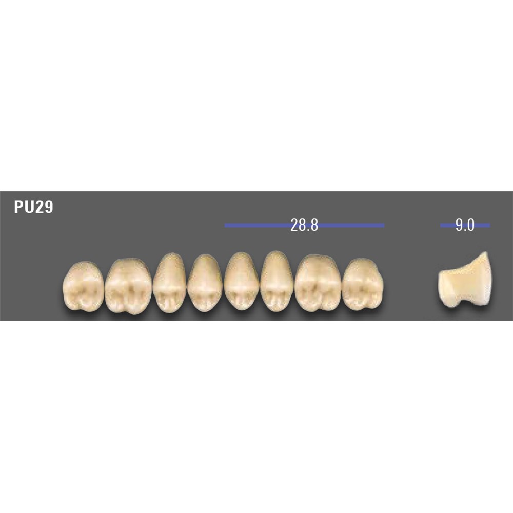 AMFTA3PU29 VITA MFT Upper Anterior Classical Shade A3 Mould PU29